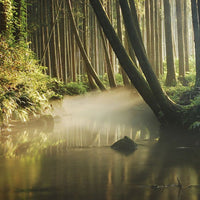 Kodakara Dry Ginger Liqueur - Latitude Wine & Liquor Merchant