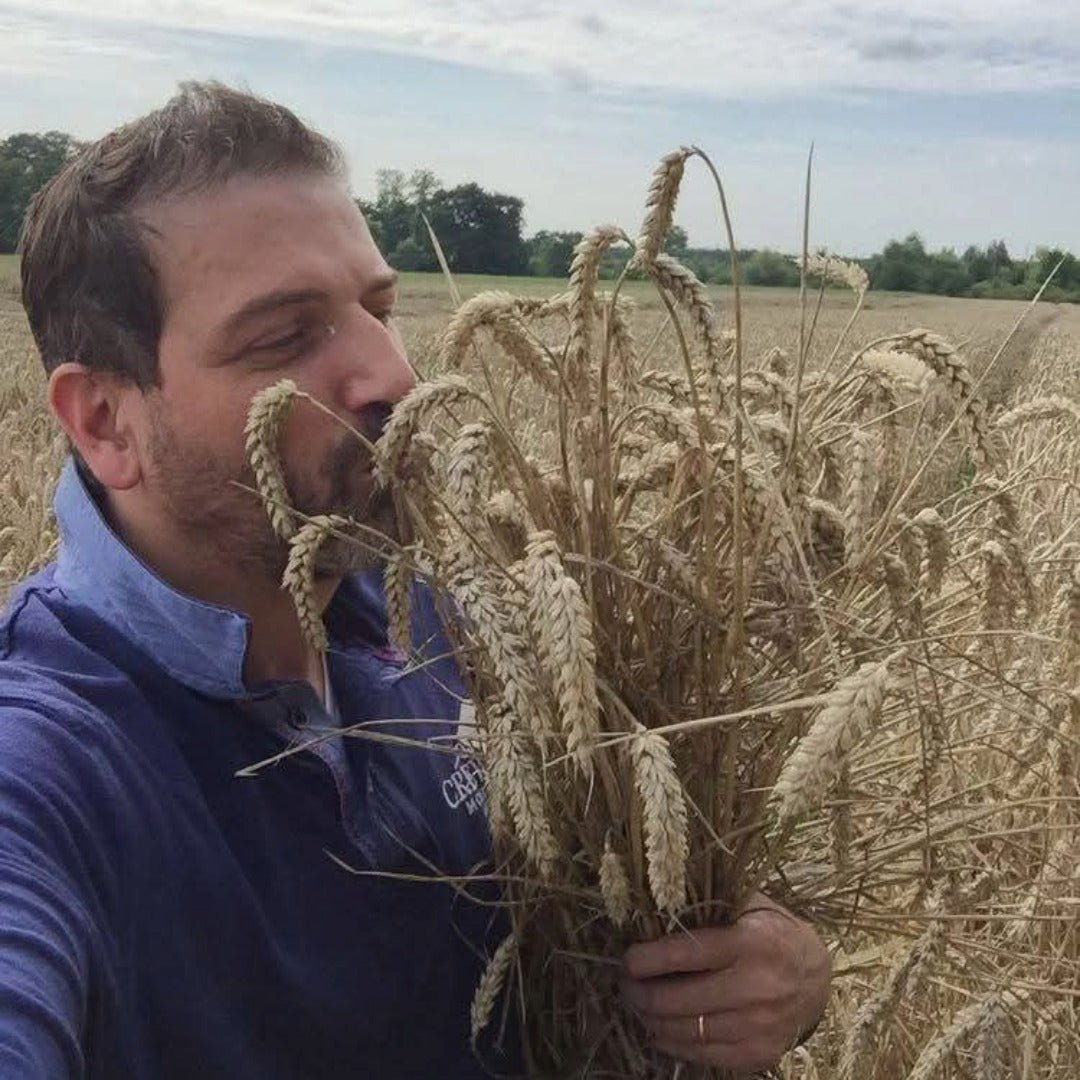 Koniks Tail - Latitude Wine & Liquor Merchant