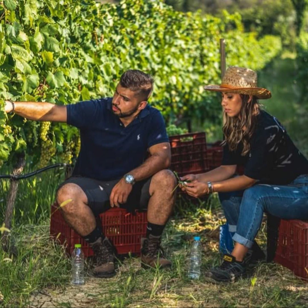 Ktima Apostolidi Malagouzia Palaiochori - Latitude Wine & Liquor Merchant