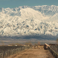 La Fuerza Vermouth Rojo - Latitude Wine & Liquor Merchant