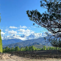 La Fuerza Vermouth Rojo - Latitude Wine & Liquor Merchant