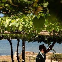 La Huida Albarino - Latitude Wine & Liquor Merchant