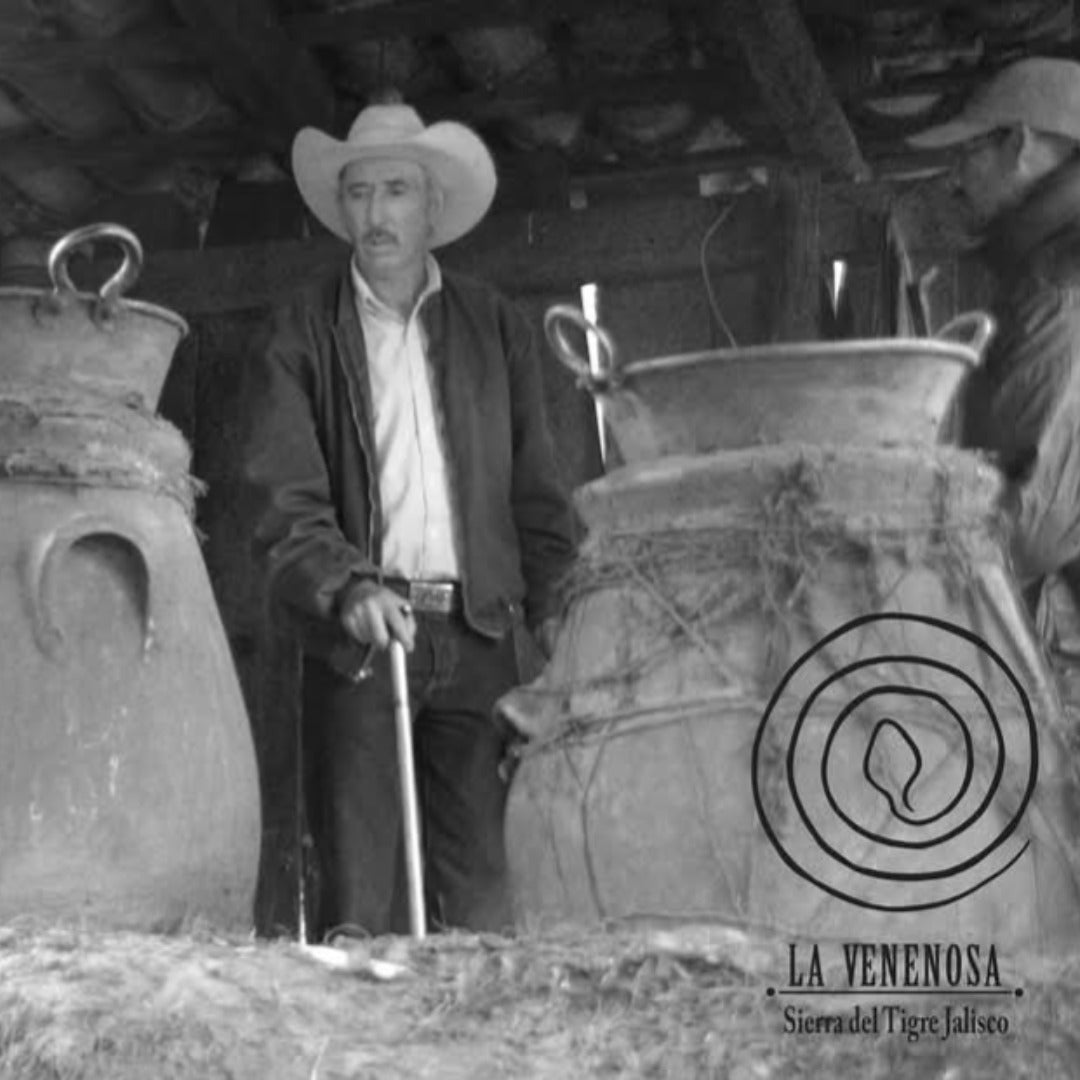 La Venenosa Sur - Sierra Volcanes De Jalisco - Latitude Wine & Liquor Merchant