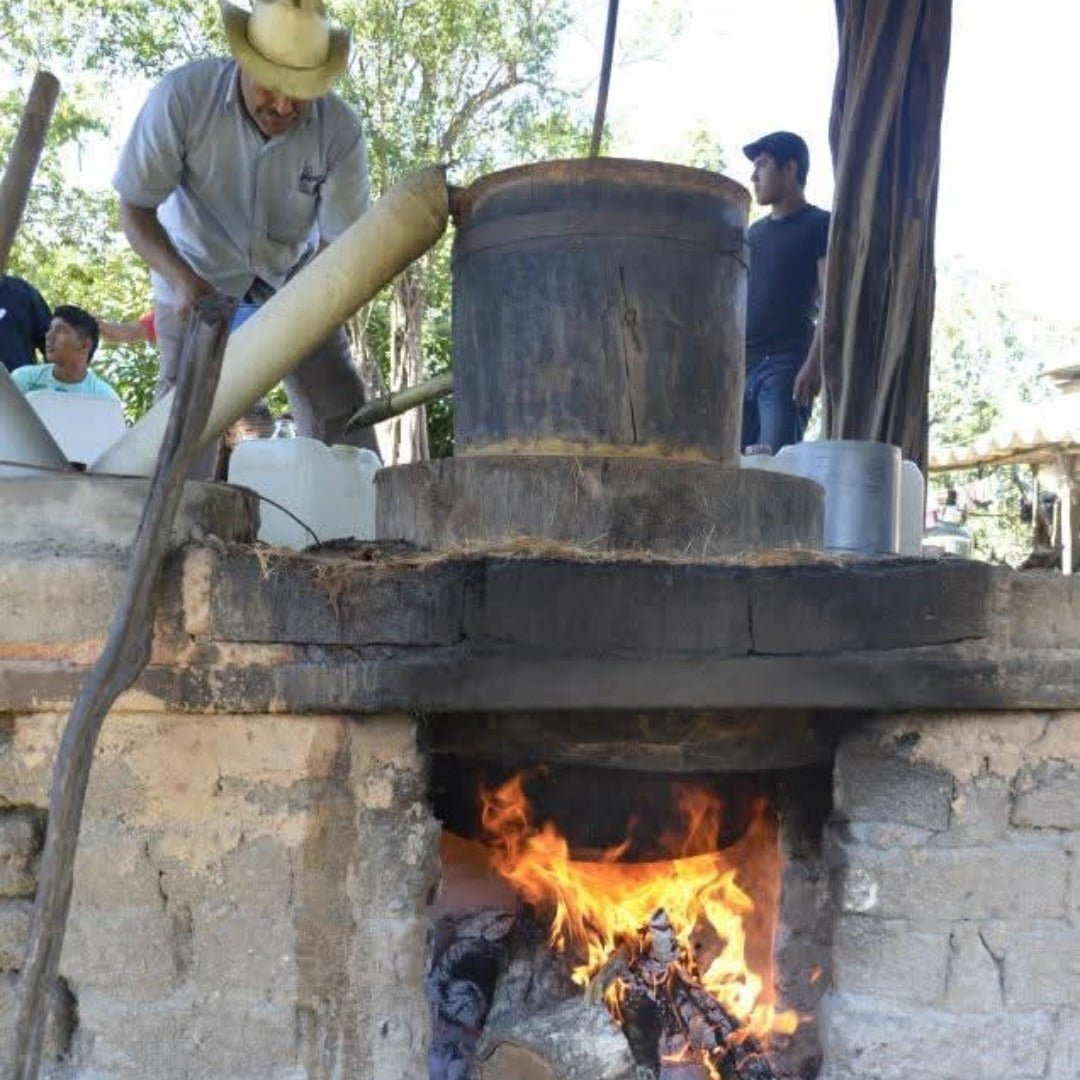 La Venenosa Sur - Sierra Volcanes De Jalisco - Latitude Wine & Liquor Merchant