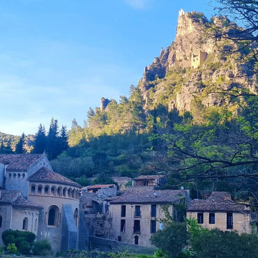 La Vicomte Authentique Cabernet Sauvignon - Latitude Wine & Liquor Merchant