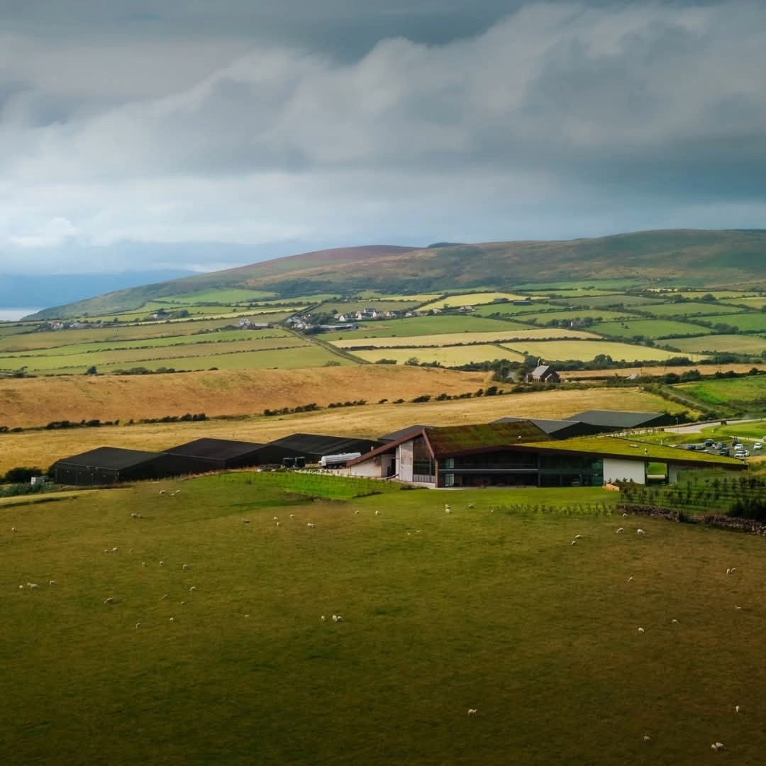 Lagg Corriecravie Oloroso Sherry Finish - Latitude Wine & Liquor Merchant