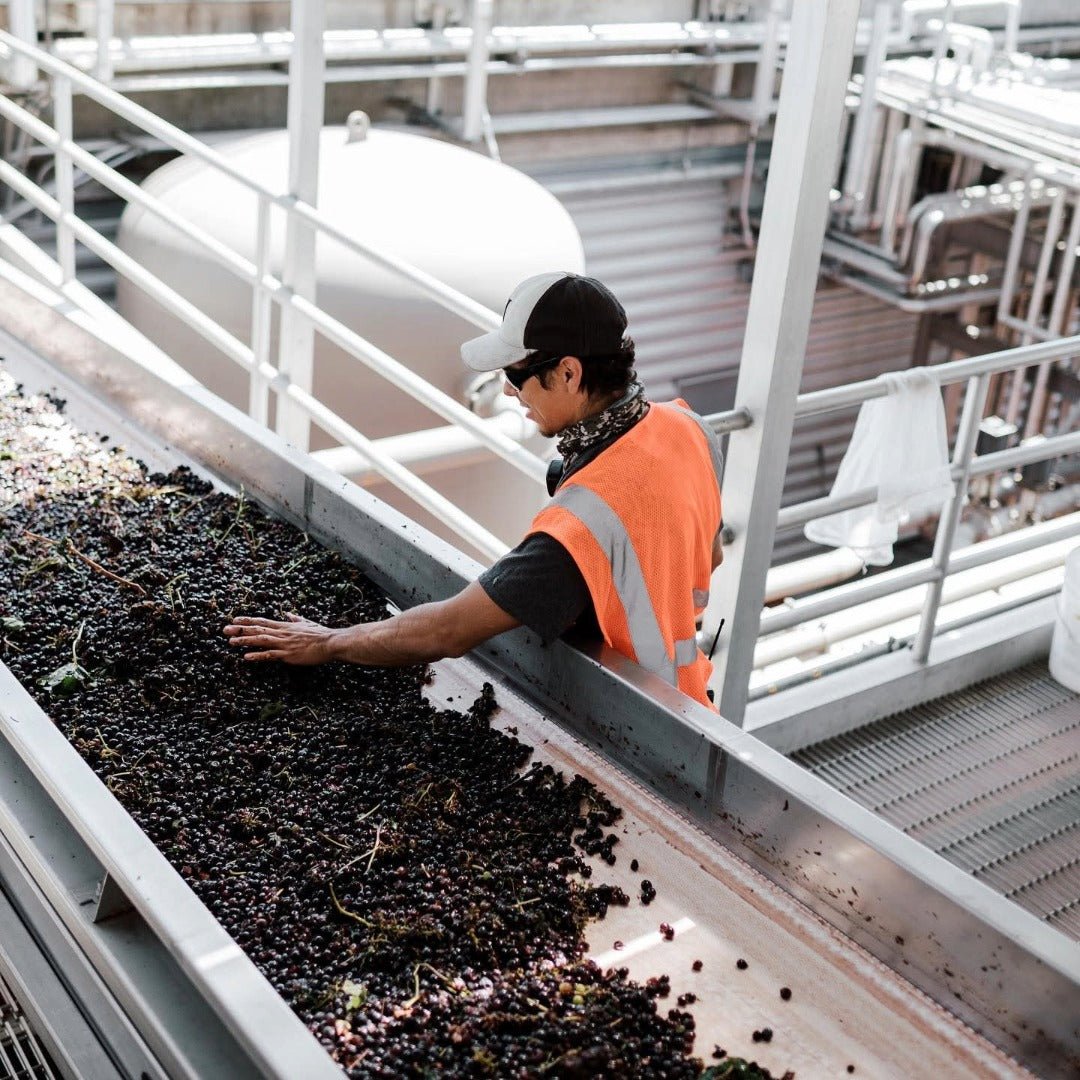 Lange Twins Sand Point Cabernet Sauvignon - Latitude Wine & Liquor Merchant