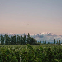 Las Estelas Leticia Malbec Del Valle - Latitude Wine & Liquor Merchant