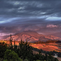 Le Riche Stellenbosch Cabernet Sauvignon - Latitude Wine & Liquor Merchant