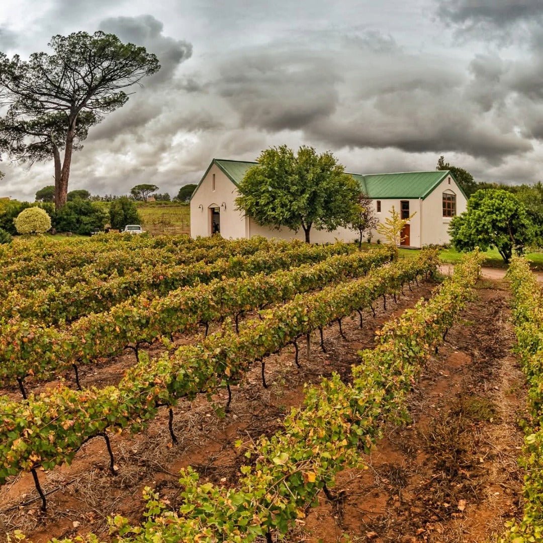 Le Riche Stellenbosch Cabernet Sauvignon - Latitude Wine & Liquor Merchant