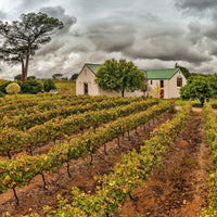 Le Riche Stellenbosch Cabernet Sauvignon - Latitude Wine & Liquor Merchant