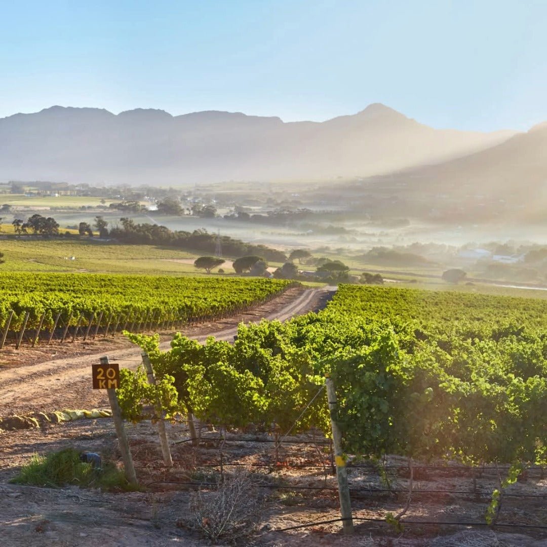 Le Riche Stellenbosch Cabernet Sauvignon - Latitude Wine & Liquor Merchant