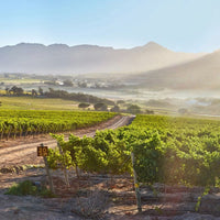 Le Riche Stellenbosch Cabernet Sauvignon - Latitude Wine & Liquor Merchant