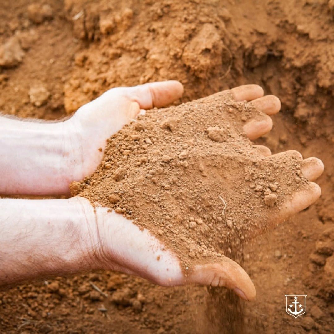 Le Riche Stellenbosch Cabernet Sauvignon - Latitude Wine & Liquor Merchant