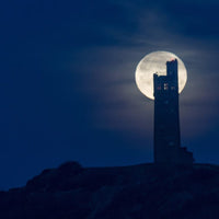 Leeds Strawberry & Raspberry Gin - Latitude Wine & Liquor Merchant