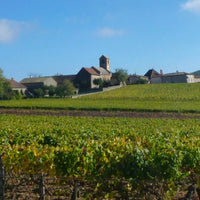 Les Vignerons d'Ige Saint - Veran La Grande Bruyere - Latitude Wine & Liquor Merchant