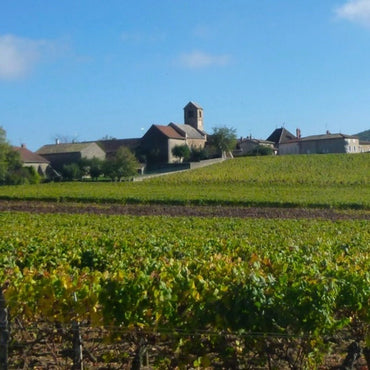 Les Vignerons d'Ige Saint - Veran La Grande Bruyere - Latitude Wine & Liquor Merchant