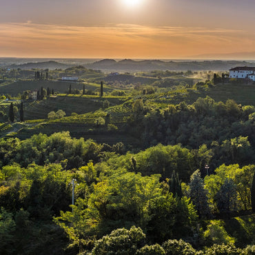 Livio Felluga Pinot Grigio - Latitude Wine & Liquor Merchant