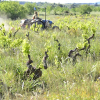 Llunari Herencia Altes - Latitude Wine & Liquor Merchant