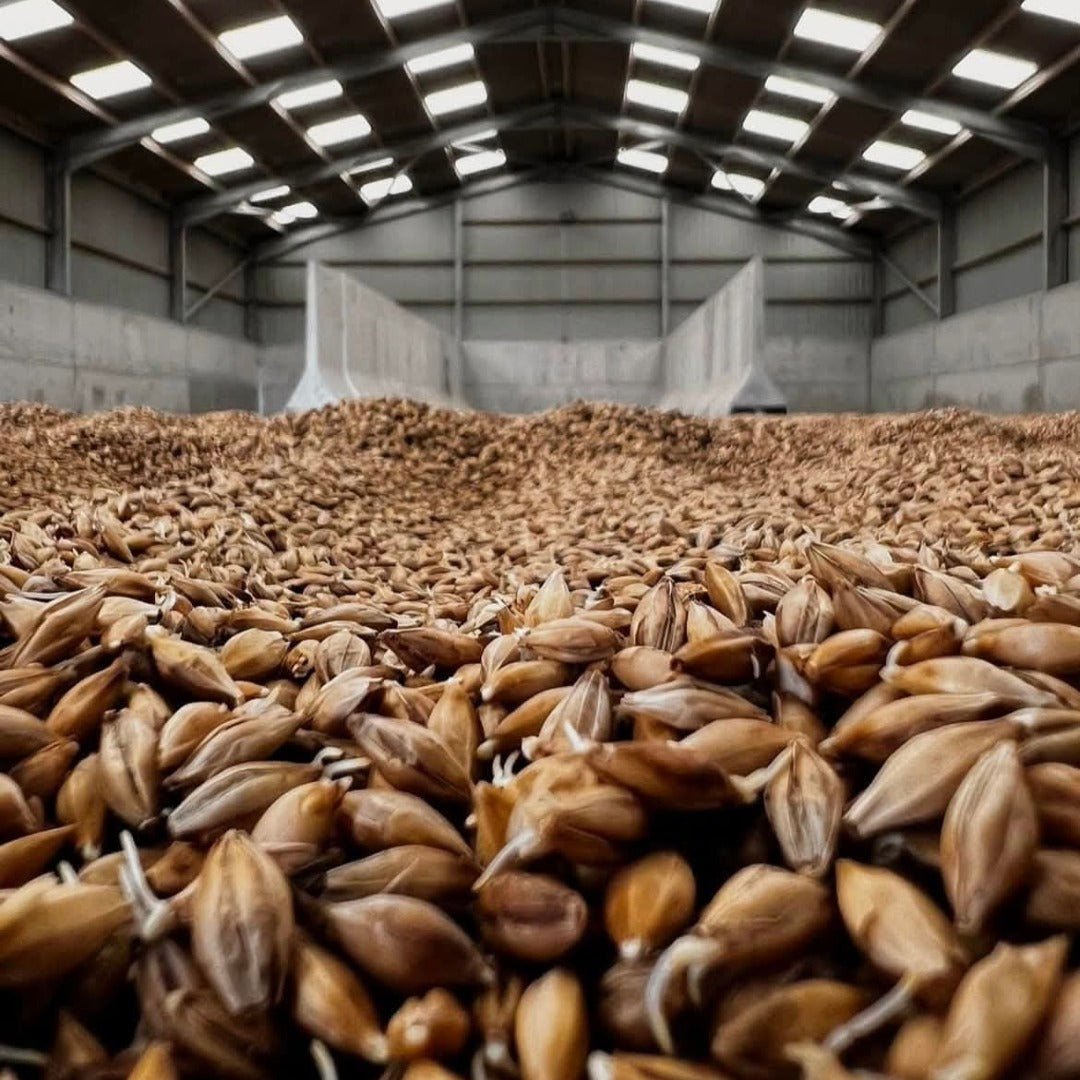 Lochlea Cask Strength Batch 3 - Latitude Wine & Liquor Merchant