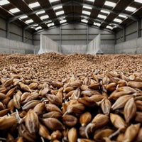 Lochlea Cask Strength Batch 3 - Latitude Wine & Liquor Merchant