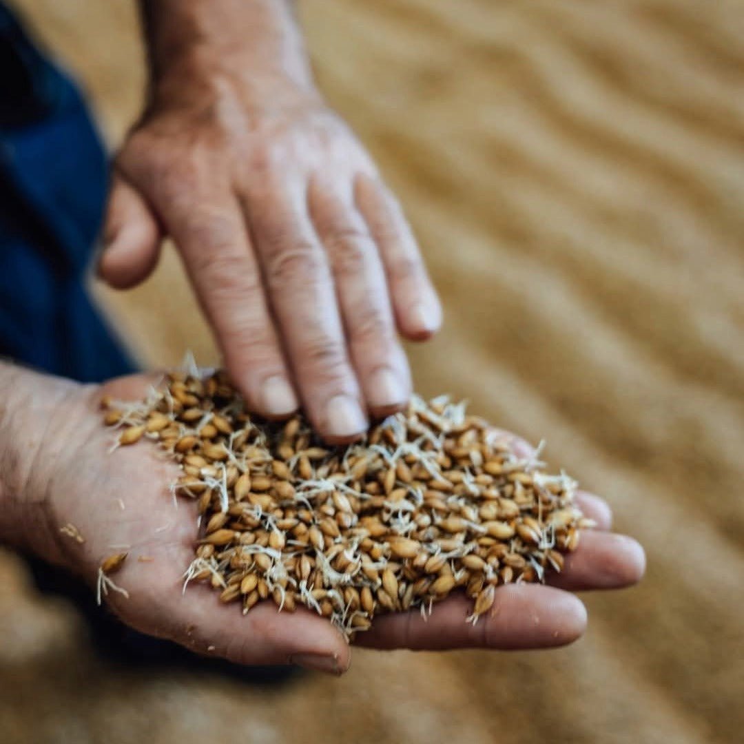 Lochlea Cask Strength Batch 3 - Latitude Wine & Liquor Merchant