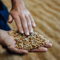 Lochlea Cask Strength Batch 3 - Latitude Wine & Liquor Merchant