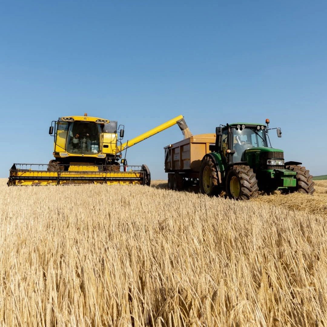 Lochlea Cask Strength Batch 3 - Latitude Wine & Liquor Merchant