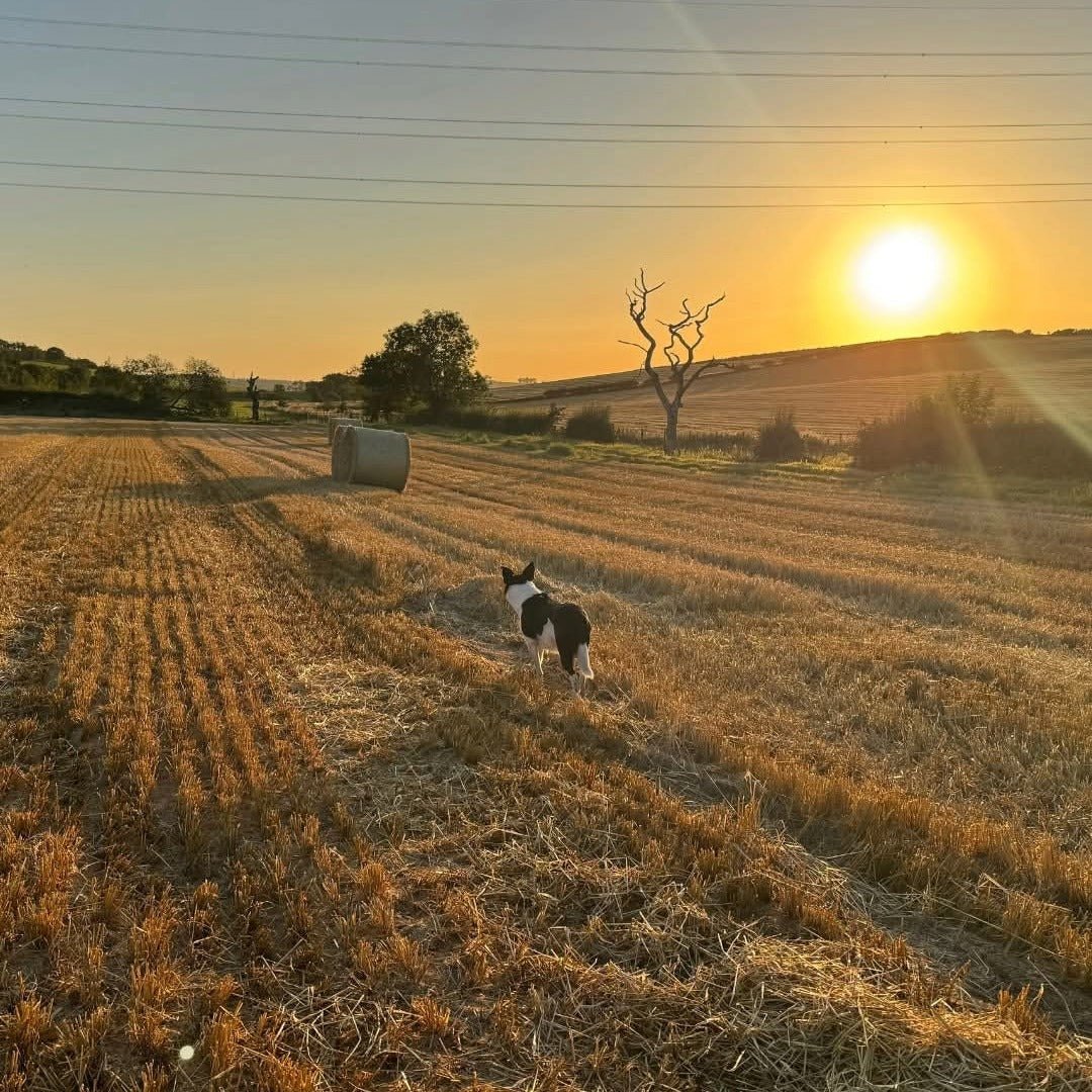 Lochlea Cask Strength Batch 3 - Latitude Wine & Liquor Merchant