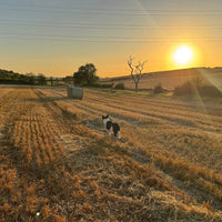 Lochlea Cask Strength Batch 3 - Latitude Wine & Liquor Merchant