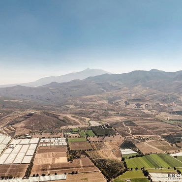 Lokita Tequila Reposado - Latitude Wine & Liquor Merchant