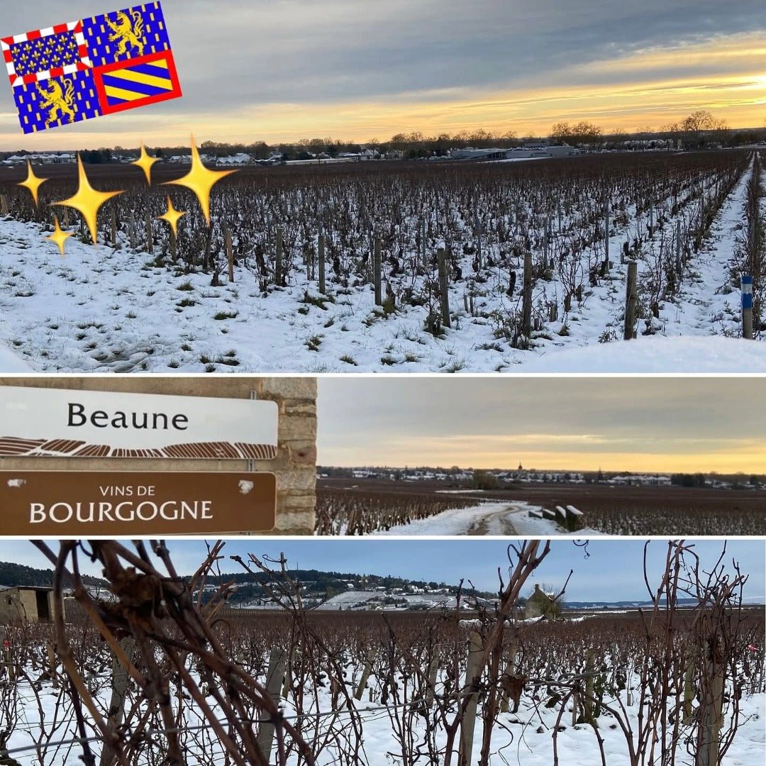 Louis Jadot Beaune Rouge Premier Cru - Latitude Wine & Liquor Merchant
