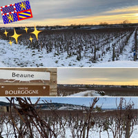 Louis Jadot Beaune Rouge Premier Cru - Latitude Wine & Liquor Merchant