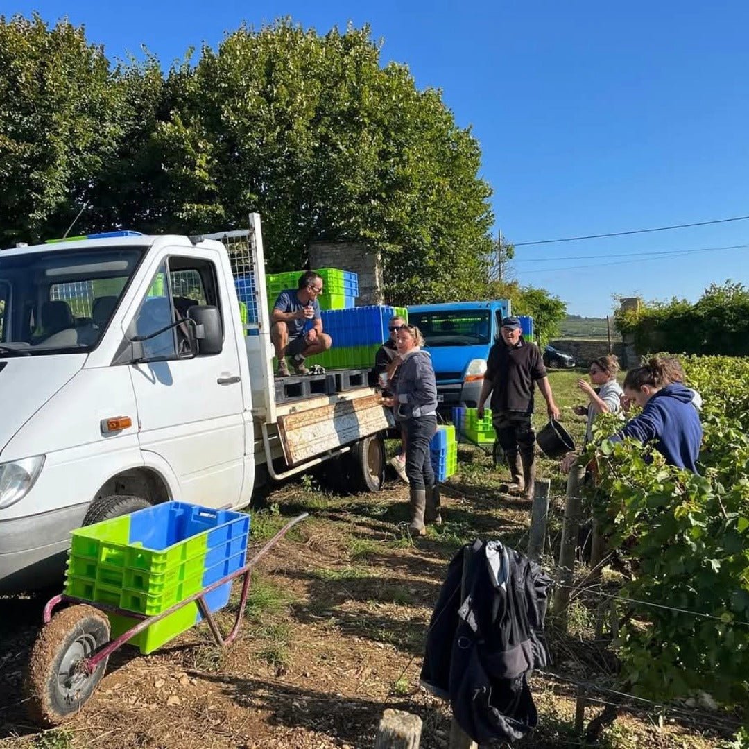 Louis Jadot Beaune Rouge Premier Cru - Latitude Wine & Liquor Merchant