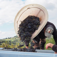 M. Chapoutier Adunatio Cotes Du Rhone - Latitude Wine & Liquor Merchant