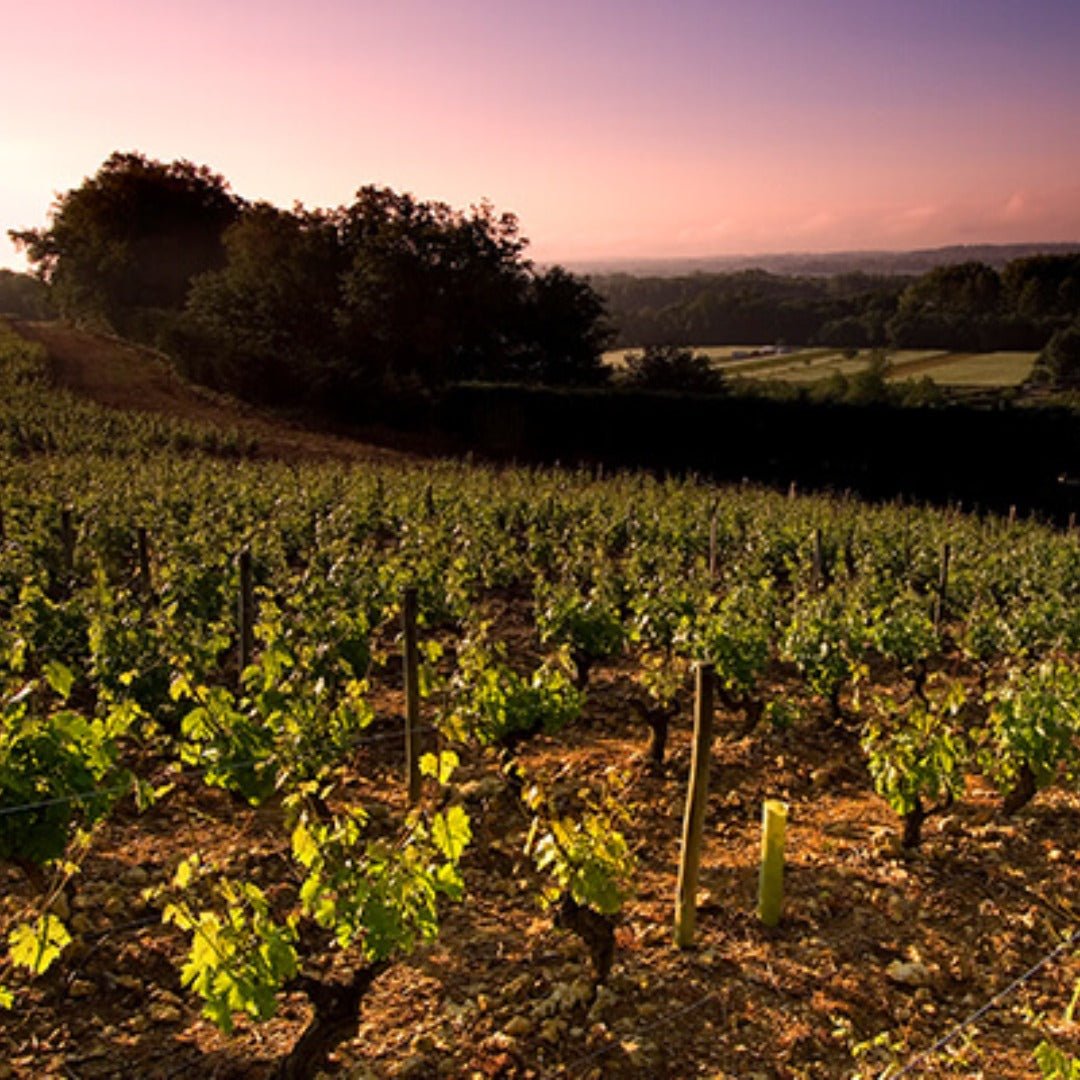 Marc Bredif Vouvray Classic - Latitude Wine & Liquor Merchant