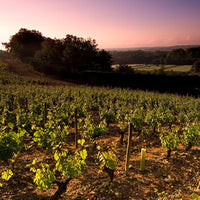 Marc Bredif Vouvray Classic - Latitude Wine & Liquor Merchant