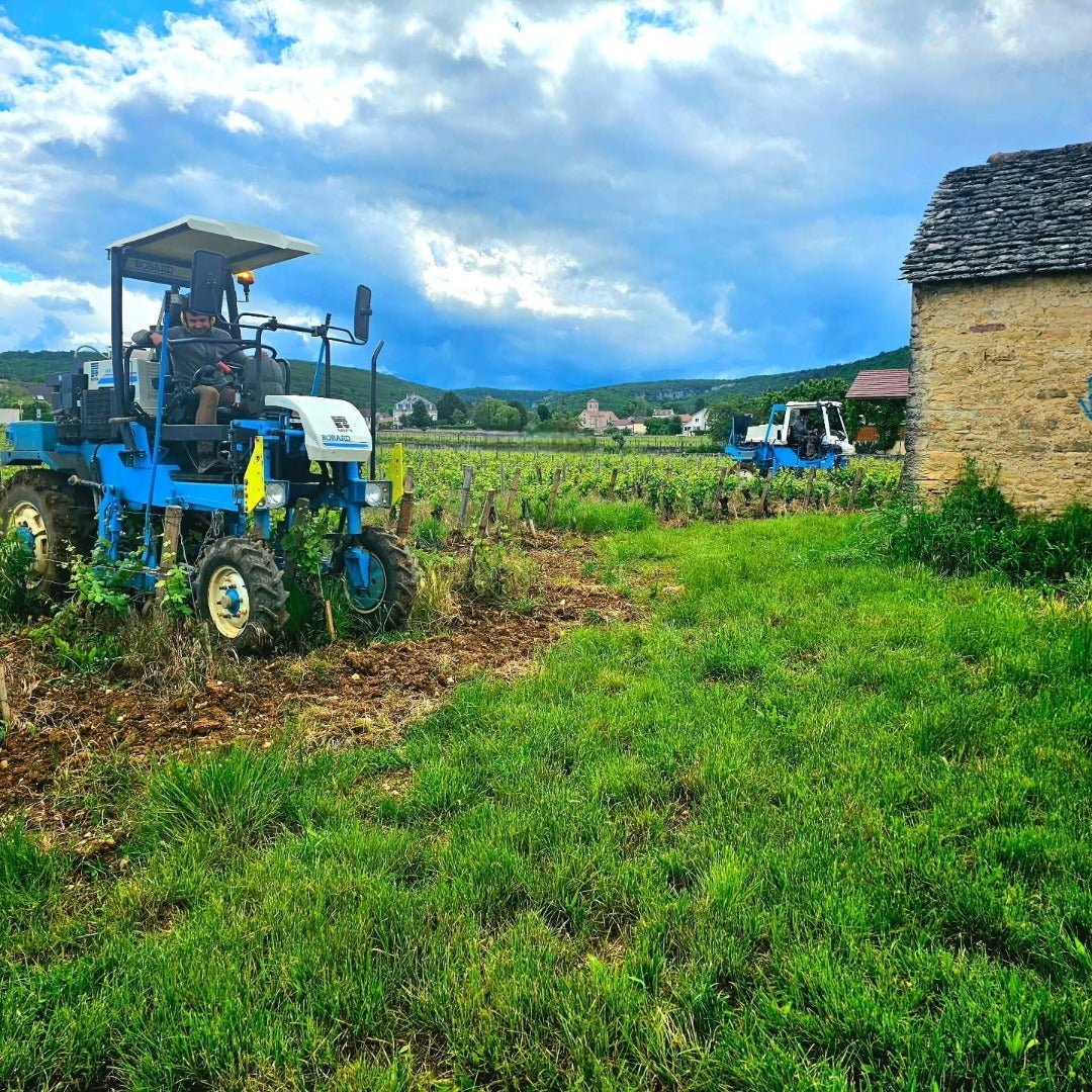Marchand Grillot Gevrey - Chambertin En Songe - Latitude Wine & Liquor Merchant