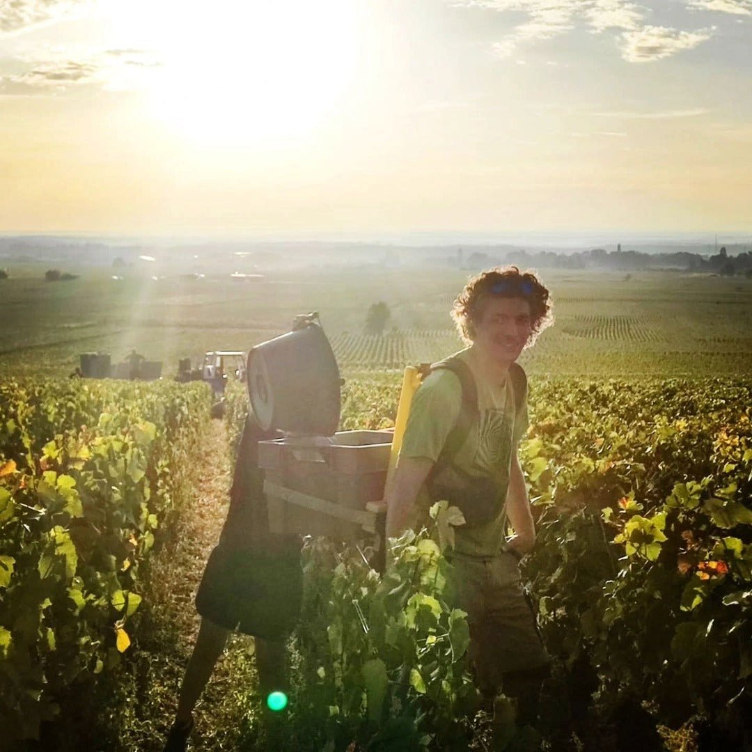 Marchand Grillot Gevrey - Chambertin En Songe - Latitude Wine & Liquor Merchant