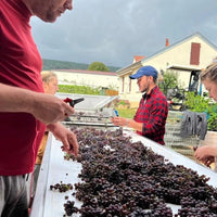 Marchand Grillot Gevrey - Chambertin En Songe - Latitude Wine & Liquor Merchant