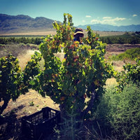 Marras Swartland Red Blend - Latitude Wine & Liquor Merchant
