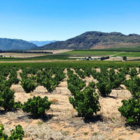 Marras Swartland Red Blend - Latitude Wine & Liquor Merchant