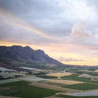 Marras Swartland Red Blend - Latitude Wine & Liquor Merchant