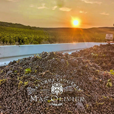 Mas Olivier Faugeres Rouge - Latitude Wine & Liquor Merchant
