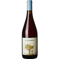 Matias Morcos Criolla Chica - Latitude Wine & Liquor Merchant