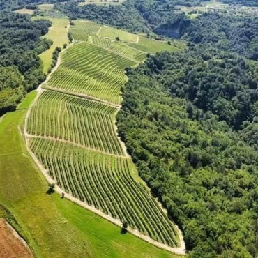 Matosevic Grimalda Red - Latitude Wine & Liquor Merchant