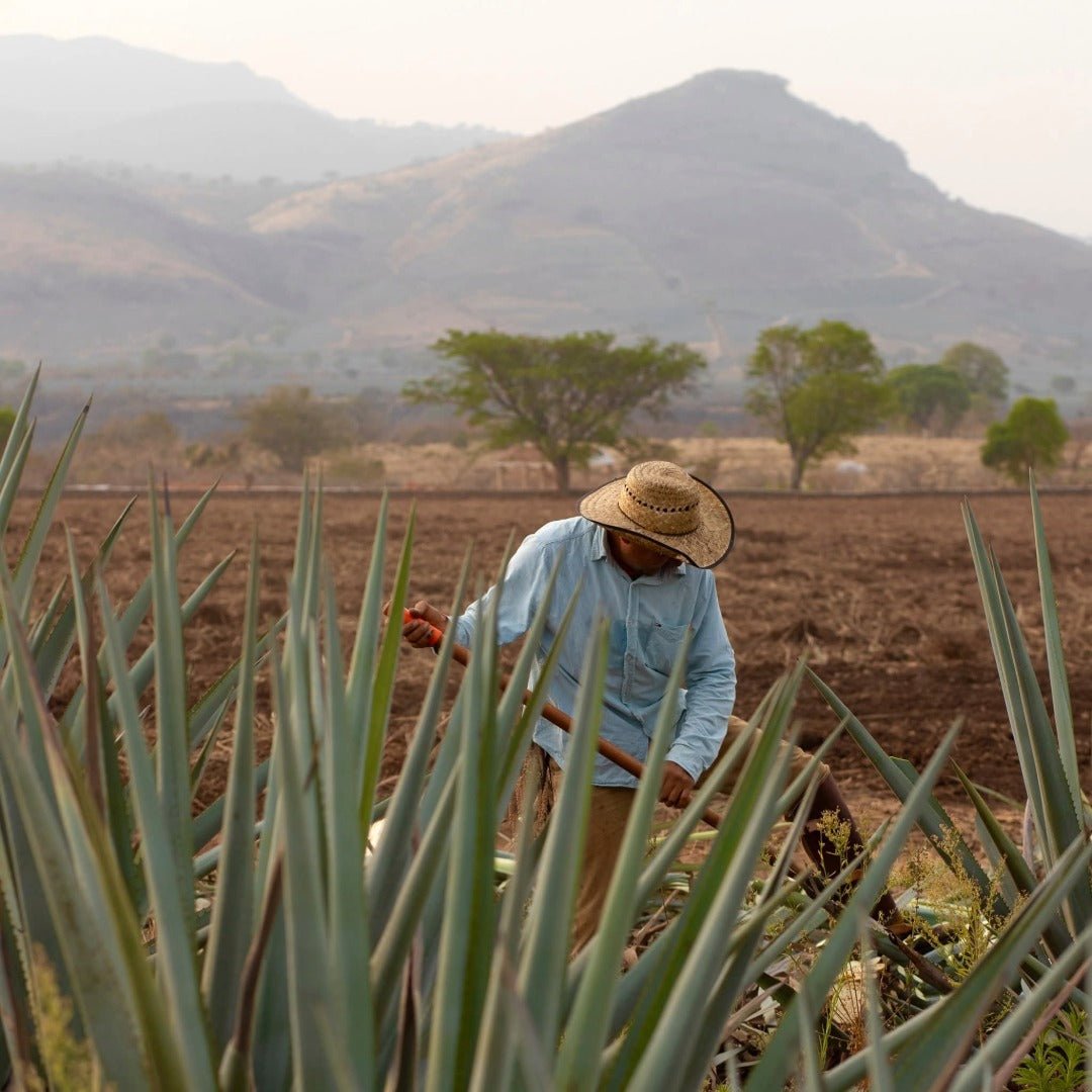 Mijenta Tequila Reposado - Latitude Wine & Liquor Merchant
