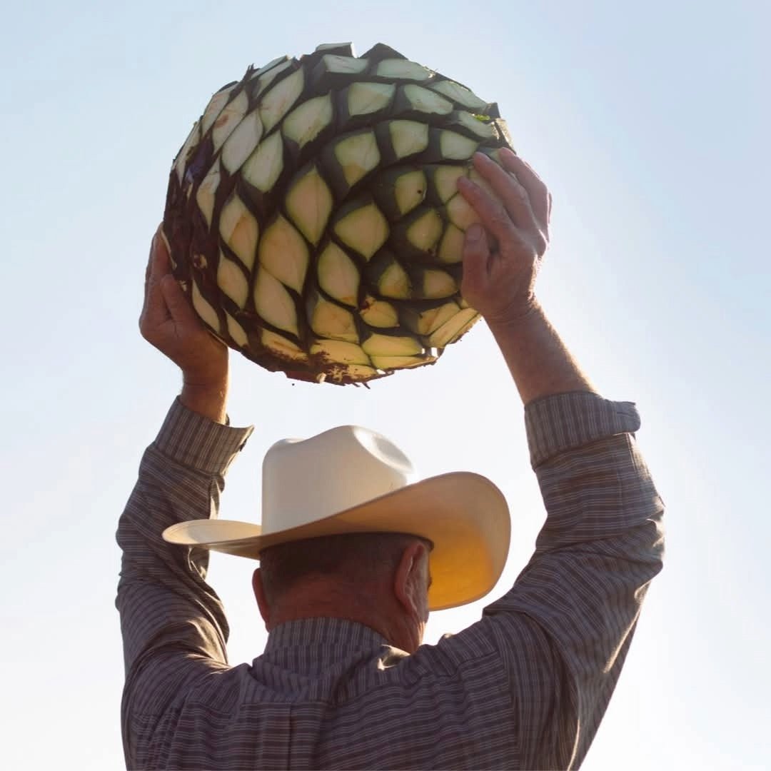 Mijenta Tequila Reposado - Latitude Wine & Liquor Merchant