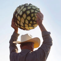 Mijenta Tequila Reposado - Latitude Wine & Liquor Merchant