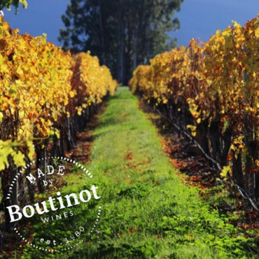 Moko Sauvignon Blanc - Latitude Wine & Liquor Merchant